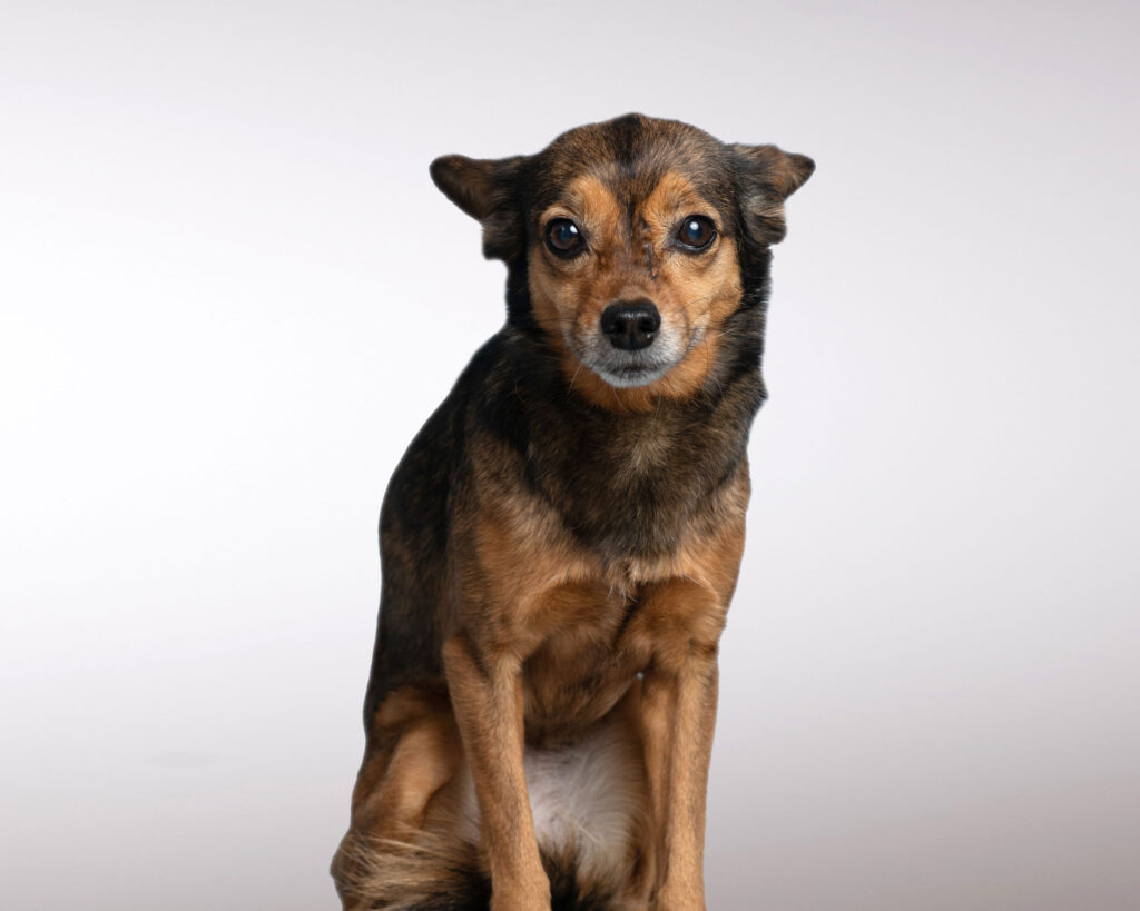 10 Elafiza-©fotosisa-9334_